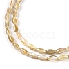 Natural Freshwater Shell Beads Strands BSHE-G036-03-3