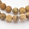 Natural Picture Jasper Beads Strands G-D659-8mm-1
