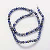 Natural Sodalite Beads Strands X-GSR4mmC013-3