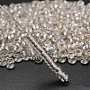 TOHO 6/0 Demi Round Beads Y-SEED-DR06-PF21F-2