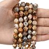 Natural Crazy Agate Beads Strands G-Z119-A13-03-4