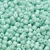 Baking Paint Pearlized Glass Seed Beads SEED-C001-04A-02-3