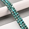Synthetic Regalite/Imperial Jasper/Sea Sediment Jasper Beads Strands G-F765-J03-01-2