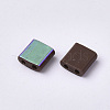 FGB 2-Hole Glass Seed Beads X-SEED-S031-L-046-R-2