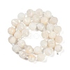 Natural White Moonstone Beads Strands G-G182-B09-05-3