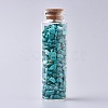 Glass Wishing Bottle DJEW-L013-A18-1