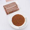 8/0 Two Tone Opaque Glass Seed Beads SEED-T006-01B-A06-2