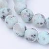 Natural Sesame Jasper/Kiwi Jasper Beads Strands G-Q462-8mm-17-1