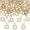 60Pcs Alloy Charms FIND-SC0009-21-1