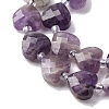Natural Amethyst Beads Strands G-P570-E17-01-4