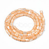 Natural Trochid Shell/Trochus Shell Beads Strands SHEL-N003-26-B06-2