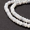 Natural Trochid Shell/Trochus Shell Beads Strands SSHEL-O001-24B-02-3