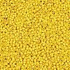 MIYUKI Delica Beads X-SEED-J020-DB2284-2