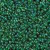 MIYUKI Round Rocailles Beads SEED-JP0010-RR0354-3