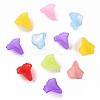Transparent Acrylic Bead Caps PL551M-4