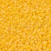 MIYUKI Delica Beads X-SEED-J020-DB1592-3