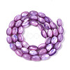 Natural Trochus Shell Beads Strands X-SHEL-K006-19-01D-2