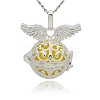 Silver Color Plated Brass Cage Pendants KK-J217-11S-1
