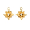 Brass Micro Pave Clear Cubic Zirconia Charms KK-G544-07G-03-1