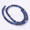 Natural Sodalite Beads Strands X-G-G448-6mm-25-2