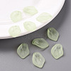 Transparent Frosted Acrylic Pendants MACR-S371-03A-728-6