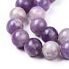 Natural Lepidolite/Purple Mica Stone Beads Strands G-K415-8mm-6