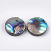 Abalone Shell/Paua Shell Beads SSHEL-T008-06B-2