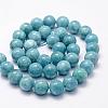 Natural White Jade Imitation Amazonite Beads Strands G-F364-16-8mm-4