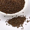 MIYUKI Delica Beads X-SEED-J020-DB2142-1