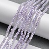 Opaque Baking Paint Glass Beads Strands DGLA-F002-03E-2