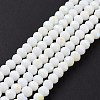 Electroplate Opaque Solid Color Glass Beads Strands EGLA-A044-P1mm-L01-2
