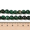 Natural Fuchsite Beads Strands G-H093-A01-01-3