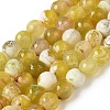 Dyed & Heated Natural Fire Crackle Agate Beads Strands G-P539-B01-06-1