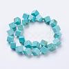 Natural Magnesite Beads Strands TURQ-K003-20B-2