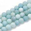 Natural Amazonite Beads Strands X-G-T106-189-1