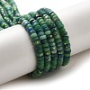 Natural Dolomite Beads Strands G-K350-B01-01C-1