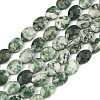 Natural Green Spot Jasper Beads Strands G-H349-A01-20-2