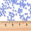 Electroplate Transparent Glass Seed Beads SEED-S042-16A-06-4