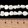 Electroplated Shell Pearl Beads Strands BSHE-B008-06C-4