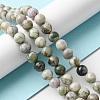 Natural Peace Jade Beads Strands G-E598-04B-1