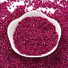 Baking Paint Glass Seed Beads X-SEED-S042-05B-70-2