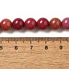 Dyed Natural Malaysia Jade Beads Strands G-G021-02B-19-3