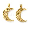 Brass Micro Pave Clear Cubic Zirconia Pendants KK-D221-19G-05-1