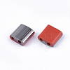 FGB 2-Hole Glass Seed Beads X-SEED-S031-L-045-H-2