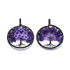 Natural Amethyst Pendants G-E529-A02-1