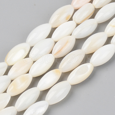 Natural Freshwater Shell Beads Strands SSHEL-R048-008-1