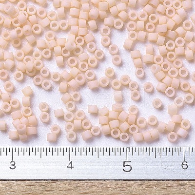 MIYUKI Delica Beads SEED-X0054-DB0354-1
