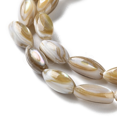 Natural Freshwater Shell Beads Strands SSHEL-B002-13-1