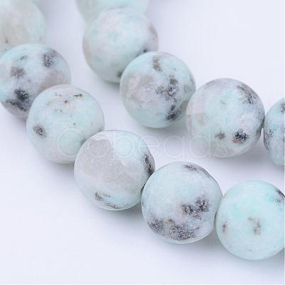 Natural Sesame Jasper/Kiwi Jasper Beads Strands G-Q462-8mm-17-1