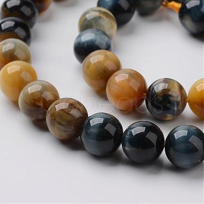 Natural Dream Tiger Eye Beads Strands G-G898-10mm-1